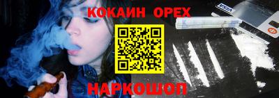 крисы Будённовск
