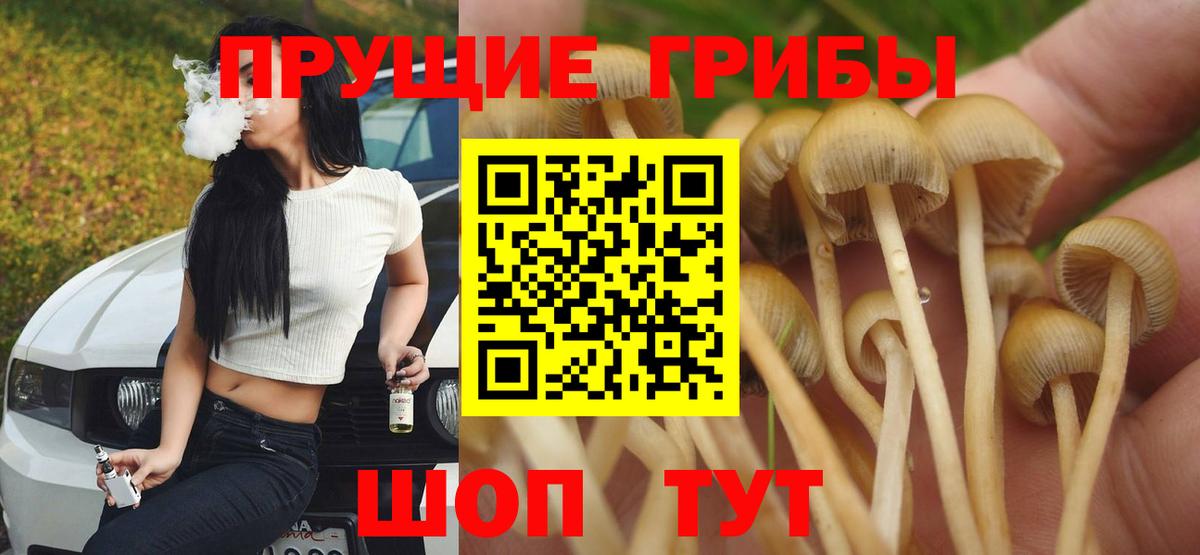 Павловский Посад  Галлюциногенные грибы мицелий  Вход с VPN  Галлюциногенные грибы GOLDEN TEACHER 
